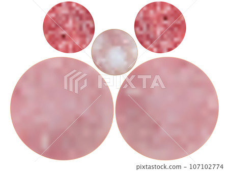 Two slices of "salami", two slices of "ham" and one slice of "sausage" 107102774