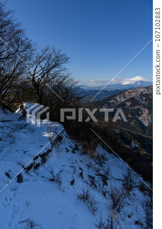 Mt. Fuji seen from Oyama 107102883