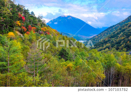 Mt. Mt. 107103782