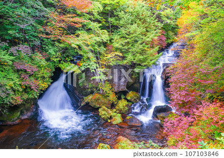 Ryuzu Falls in autumn 107103846