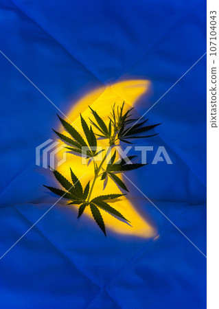Night background with moonlight, marijuana branch Cannabis products for insomnia 107104043