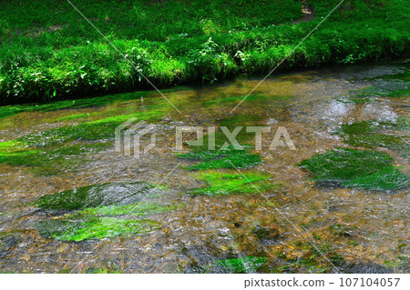 Scenery of World Heritage Site Oshino Hakkai Scenery of World Heritage Site Oshino Hakkai 107104057