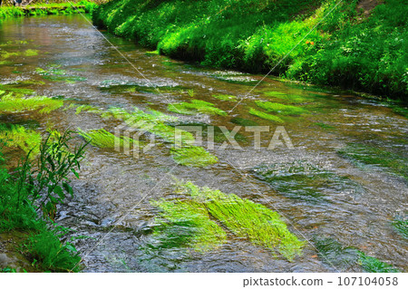 Scenery of World Heritage Site Oshino Hakkai Scenery of World Heritage Site Oshino Hakkai 107104058