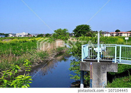 綾瀨川和掛比公園附近的田園風光 綾瀨川和掛比公園附近的田園風光 107104445