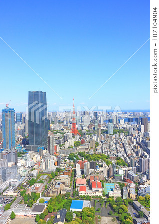 Tokyo, Tokyo cityscape and Tokyo Tower landscape 107104904
