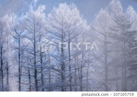 弗羅斯特(蒜山高原) 弗羅斯特(蒜山高原) 107105759