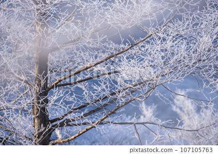 弗羅斯特(蒜山高原) 弗羅斯特(蒜山高原) 107105763
