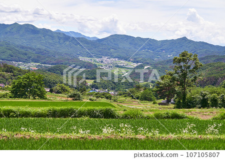 Nagano Prefecture: Chikuhoku Village from the Alps Observation Road Nagano Prefecture: Chikuhoku Village from the Alps Observation Road 107105807