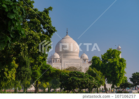 Garlic dome architecture of the Taj Mahal temple, Agra, Uttar Pradesh, India is built of white marble Garlic dome architecture of the Taj Mahal temple, Agra, Uttar Pradesh, India is built of white marble 107106257