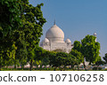 Garlic dome architecture of the Taj Mahal temple, Agra, Uttar Pradesh, India is built of white marble 107106258