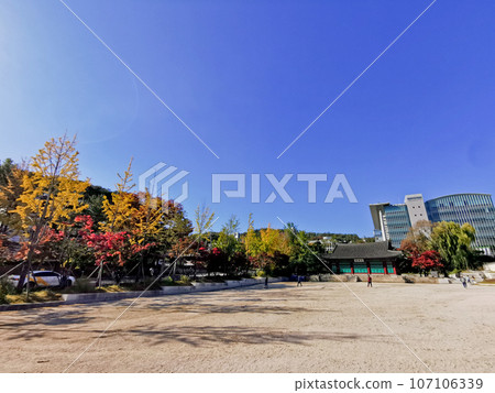 Traditional and modern buildings of Sungkyunkwan University with students walk on the pavement. Traditional and modern buildings of Sungkyunkwan University with students walk on the pavement. 107106339