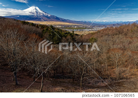 Mt. Fuji in winter as seen from Oshino/Nijumagu Pass Mt. Fuji in winter as seen from Oshino/Nijumagu Pass 107106565