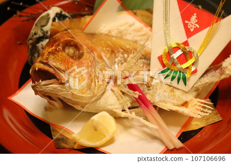 快照鯛魚 107106696