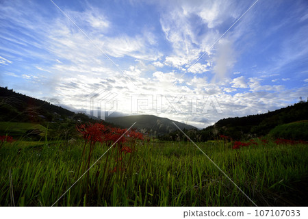 Beautiful autumn landscape with autumn sky and manjushana 107107033