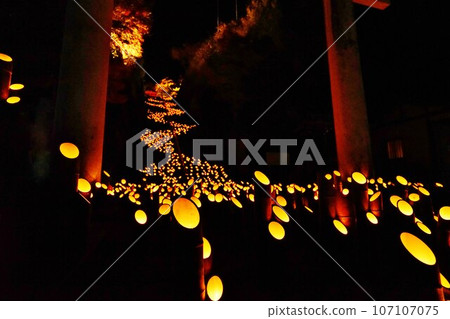 Bamboo light 107107075