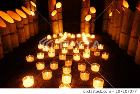 Bamboo light 107107077