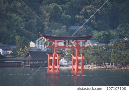 日本宮島嚴島神社的大鳥居升入大海 日本宮島嚴島神社的大鳥居升入大海 107107108