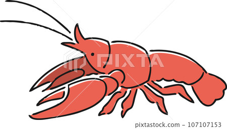 hand drawn american crayfish illustration 107107153