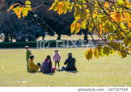 Autumn park, family on the lawn Autumn park, family on the lawn 107107499