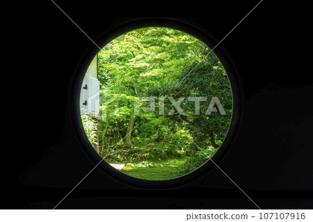 Kyoto Genkoan Window of Enlightenment Fresh green season 107107916