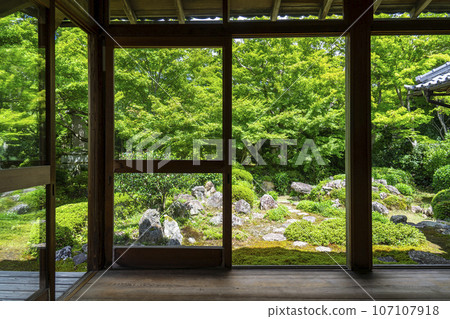 源光庵日本花園鶴龜之庭(京都府北區高峰) 源光庵日本花園鶴龜之庭(京都府北區高峰) 107107918