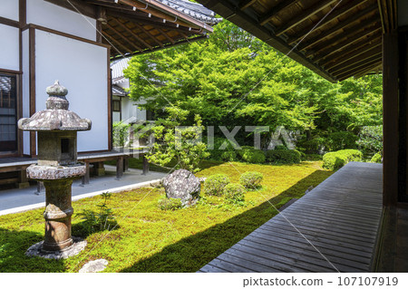 源光庵日本花園鶴龜之庭(京都府北區高峰) 源光庵日本花園鶴龜之庭(京都府北區高峰) 107107919
