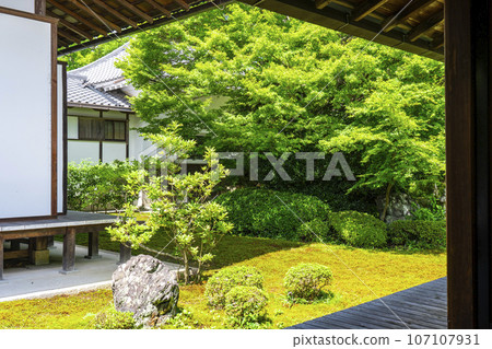 源光庵日本花園鶴龜之庭(京都府北區高峰) 源光庵日本花園鶴龜之庭(京都府北區高峰) 107107931