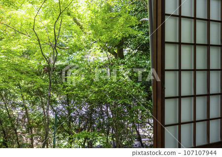 Genkoan Japanese Garden (Takamine, Kita Ward, Kyoto City) Genkoan Japanese Garden (Takamine, Kita Ward, Kyoto City) 107107944
