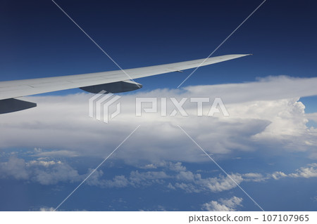 Wing Wing 107107965