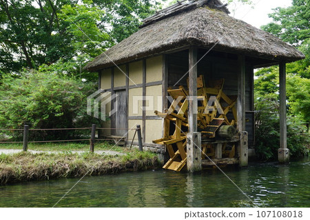 A clear stream where wasabi grows (Azumino Daio Wasabi Farm) 107108018
