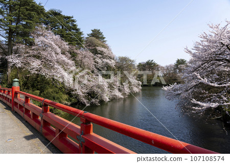 Takaoka Castle Park, a cherry blossom viewing spot in Toyama Prefecture Takaoka Castle Park, a cherry blossom viewing spot in Toyama Prefecture 107108574