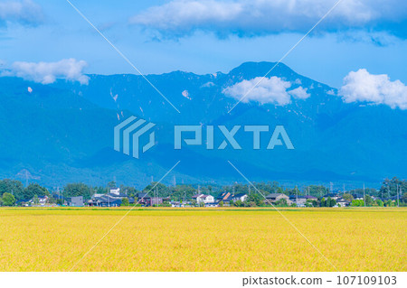 [秋天素材]安曇野的收穫秋天[長野縣] 107109103