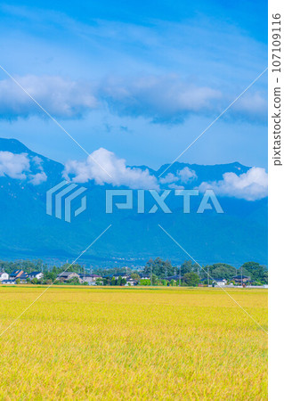[Autumn material] Harvest autumn in Azumino [Nagano Prefecture] 107109116