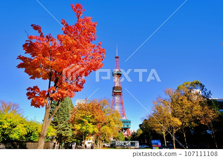 札幌大通公園的秋葉 107111108