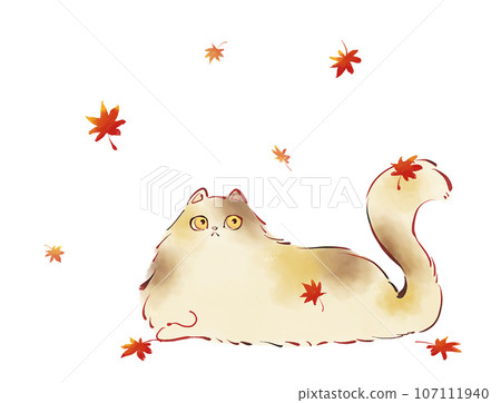 貓咪跌倒 107111940