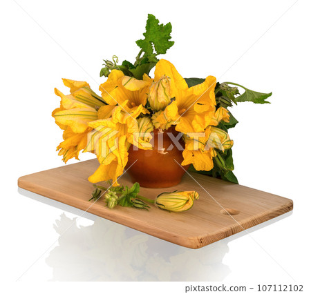 Bouquet of pumpkin flowers in a clay pot Bouquet of pumpkin flowers in a clay pot 107112102