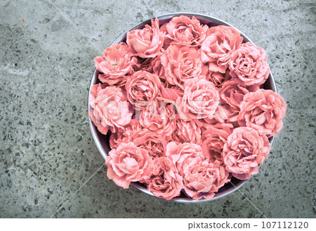 Pink Roses in bowl 107112120