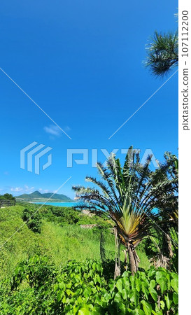 玉取崎展望台 - 欣賞石垣島鈷藍色大海和綠意盎然的壯麗景色 玉取崎展望台 - 欣賞石垣島鈷藍色大海和綠意盎然的壯麗景色 107112200