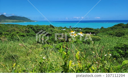 玉取崎展望台 - 欣賞石垣島鈷藍色大海和綠意盎然的壯麗景色 107112204