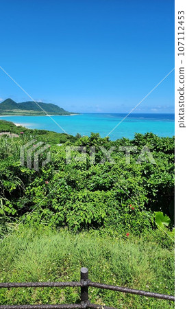 石垣島鈷藍色的大海和叢林玉取崎展望台 107112453