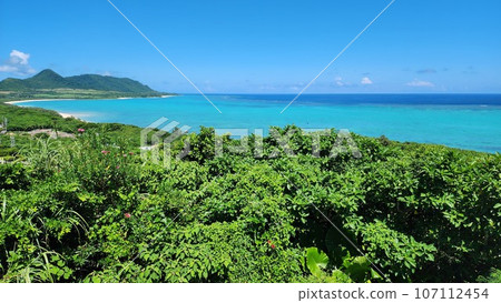 石垣島鈷藍色的大海和叢林玉取崎展望台 107112454