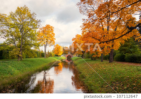 The Cross Bridge in autumn. Golden autumn in Catherine Park, Tsarskoye Selo. Old city park with bright autumn golden maples on a sunny day. 107112647