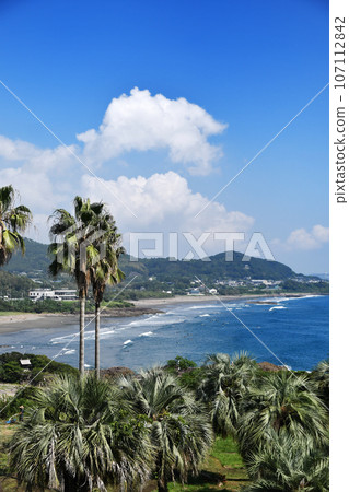 日向市金長濱海灘 107112842