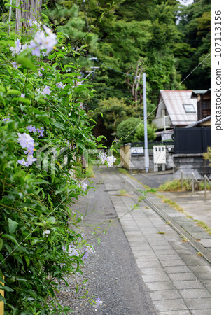 September Kamakura Egara Tenjin Shrine 1 107113156