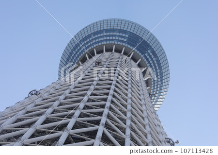 Sky tree 107113428
