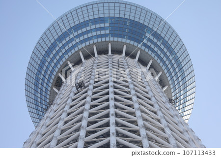 天空樹 天空樹 107113433