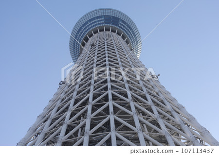 天空樹 107113437