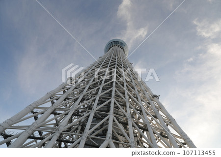 天空樹 107113455