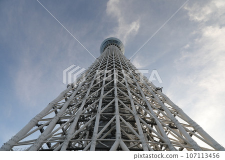 天空樹 107113456