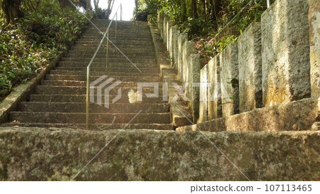 Explore Ainan town with chicken! Explore Ainan town with chicken! 107113465